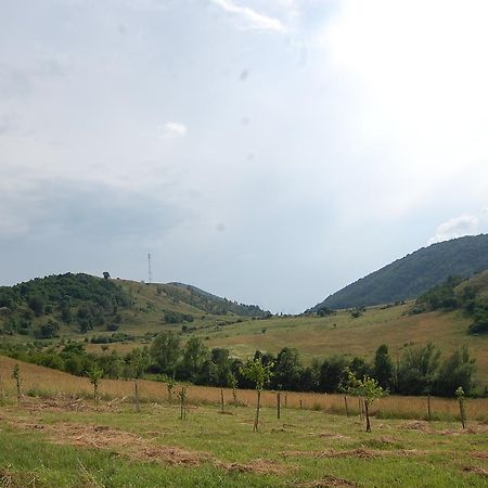 Haţeg Motel Prislop מראה חיצוני תמונה
