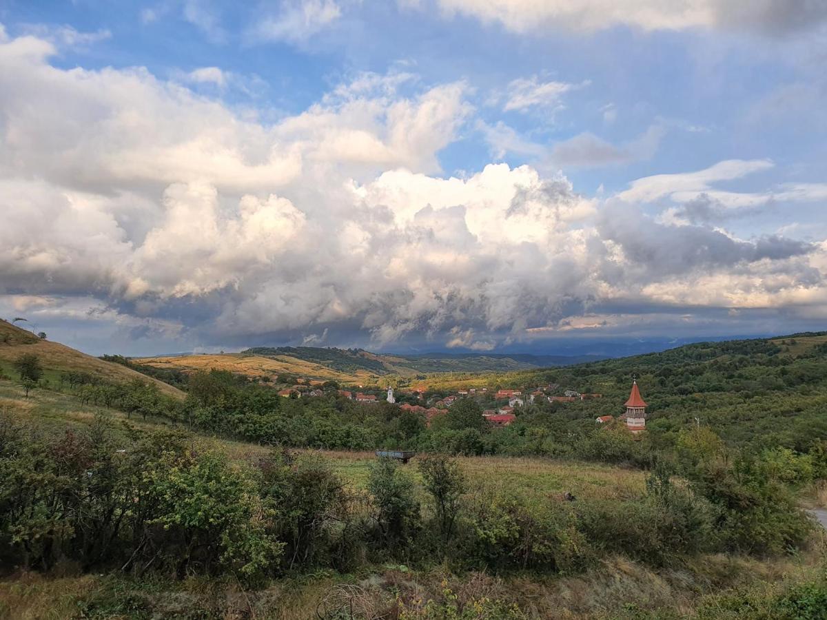Haţeg Motel Prislop מראה חיצוני תמונה