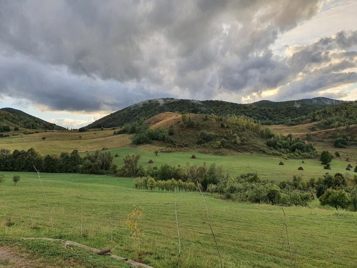 Haţeg Motel Prislop מראה חיצוני תמונה