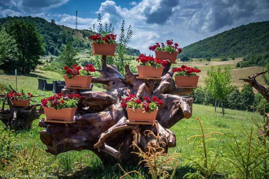 Haţeg Motel Prislop מראה חיצוני תמונה
