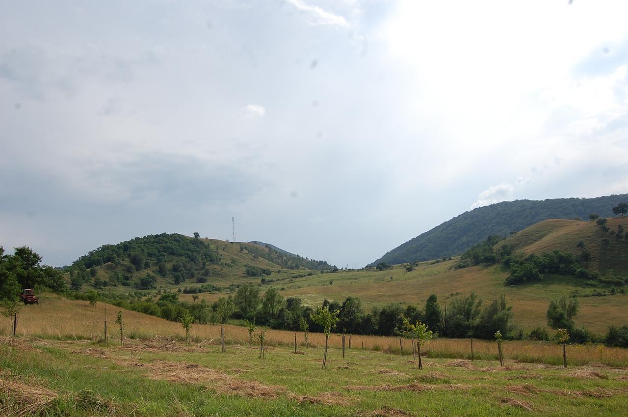 Haţeg Motel Prislop מראה חיצוני תמונה
